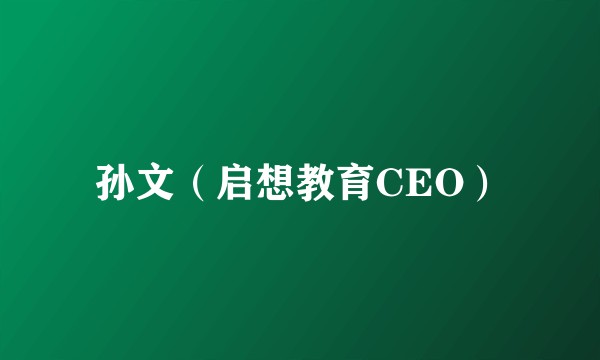 孙文（启想教育CEO）