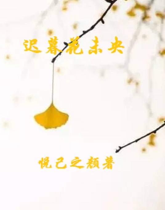 迟暮花未央