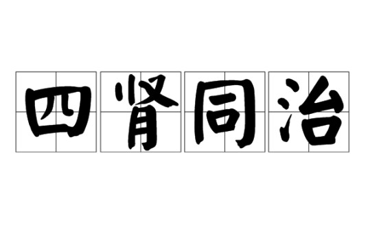 四肾同治