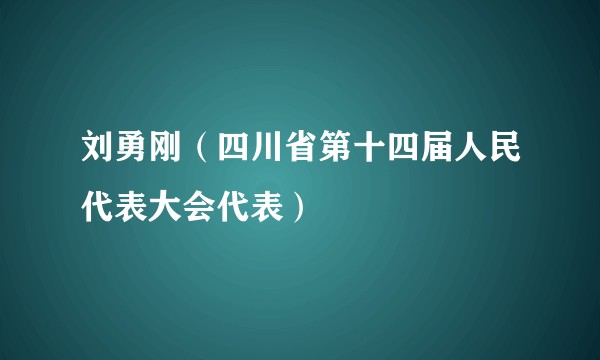 刘勇刚（四川省第十四届人民代表大会代表）