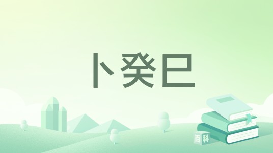卜癸巳