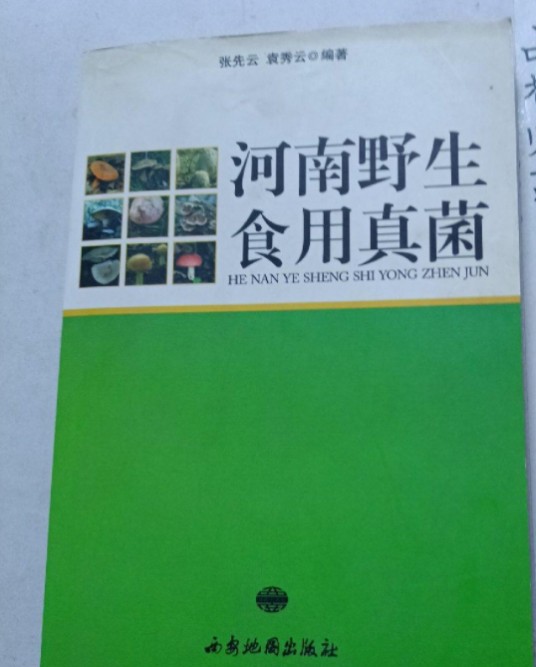 河南野生食用真菌