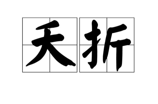 夭折(汉语词语)
