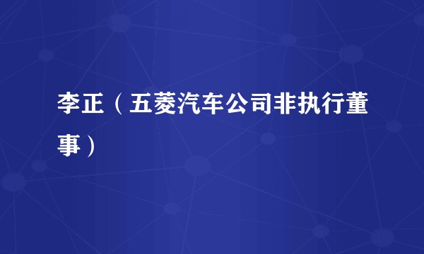 李正(五菱汽车公司非执行董事)