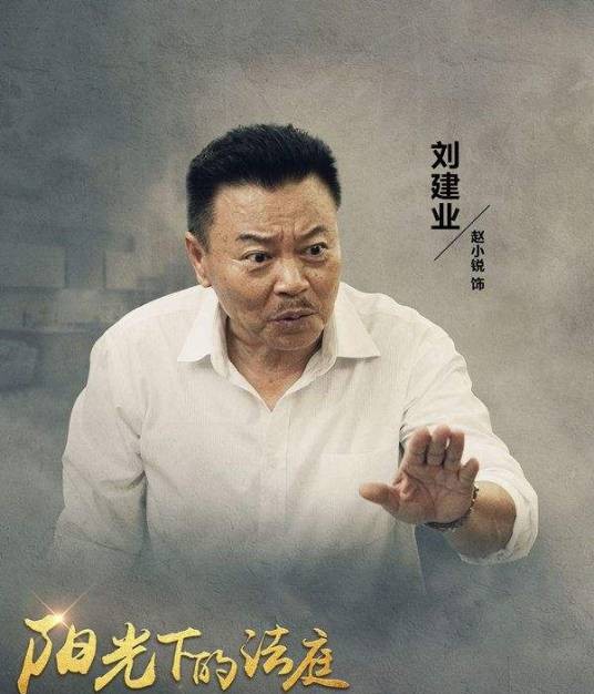 刘建业(电视剧《阳光下的法庭》角色)