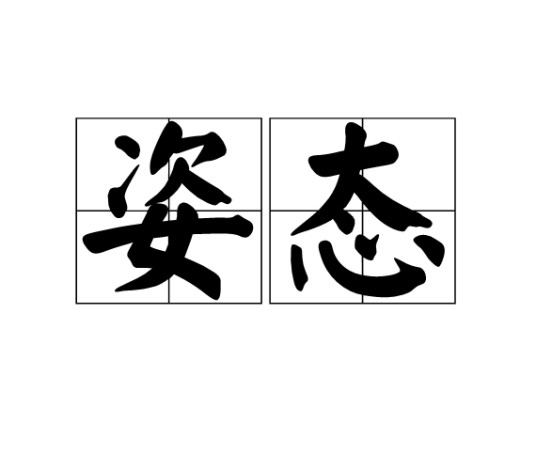 姿态（汉语词语）
