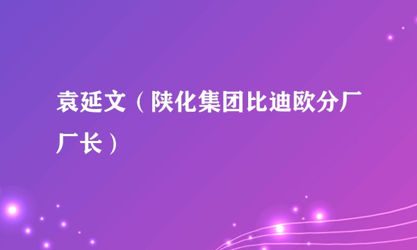 袁延文（陕化集团比迪欧分厂厂长）