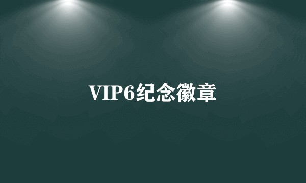 VIP6纪念徽章