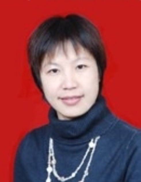 吴斌(湖南医药学院教授、副院长)