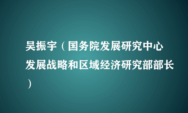 吴振宇（国务院发展研究中心发展战略和区域经济研究部部长）