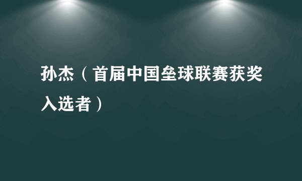 孙杰（首届中国垒球联赛获奖入选者）