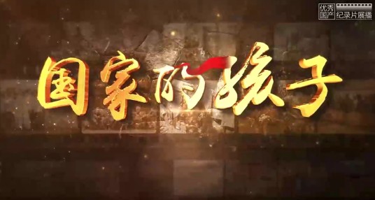 国家的孩子（北京神州启明公司制作的纪录片）