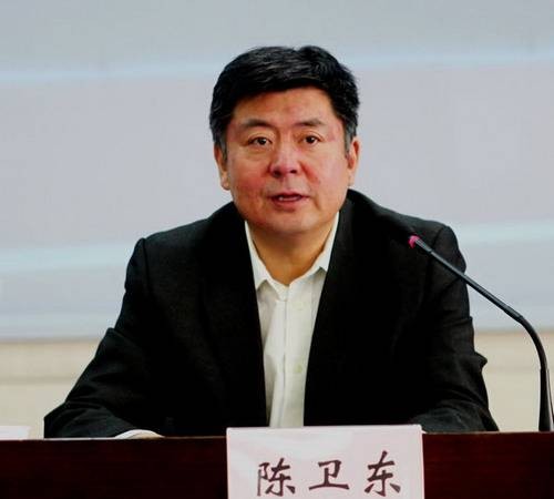 陈卫东（对外经济贸易大学法学院教授）