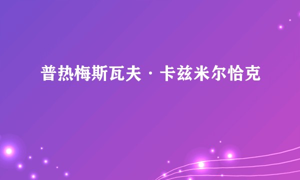 普热梅斯瓦夫·卡兹米尔恰克