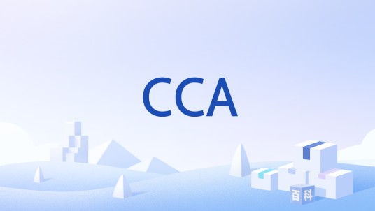CCA（空频道检测技术）