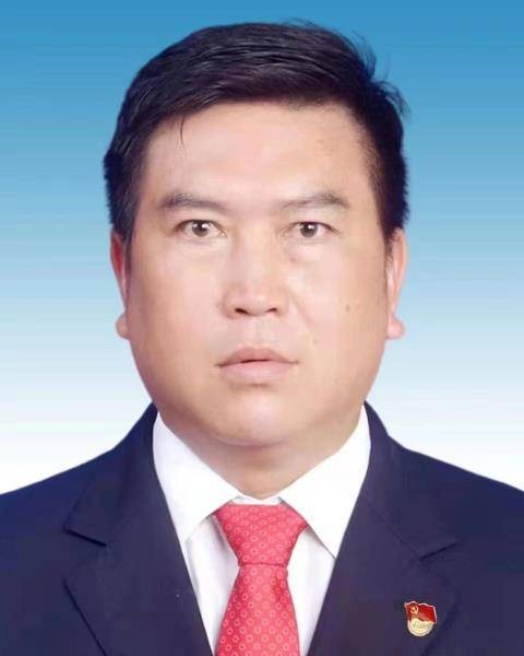 杨斌（云南省德宏傣族景颇族自治州芒市常务委员会委员）