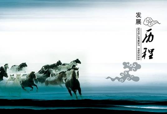 历程（经历的过程）
