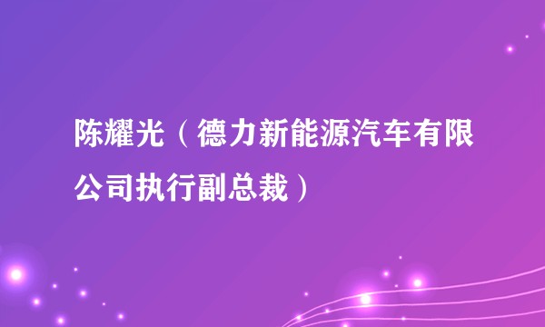 陈耀光（德力新能源汽车有限公司执行副总裁）