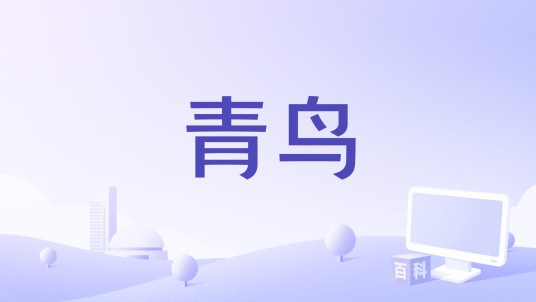 青鸟（2004年荷兰电影）