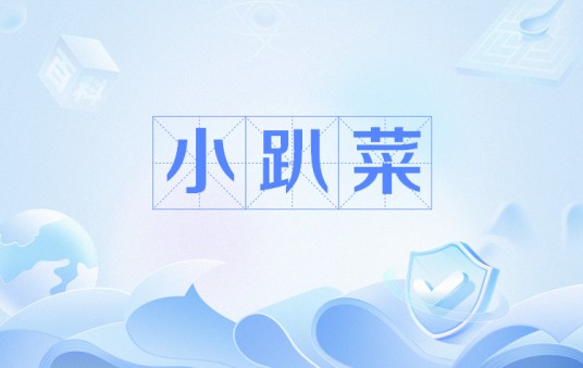 小趴菜（汉语词语）