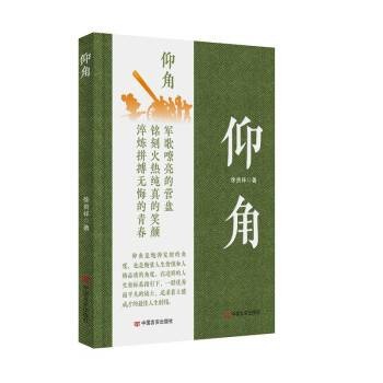 仰角（2023年中国言实出版社出版的图书）
