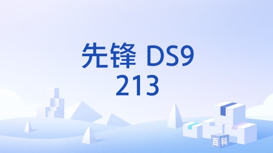 先锋 DS9213