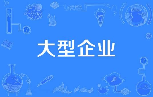 大型企业