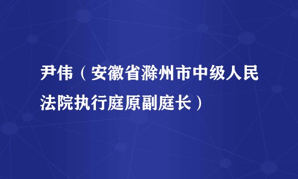尹伟（安徽省滁州市中级人民法院执行庭原副庭长）