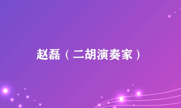 赵磊（二胡演奏家）