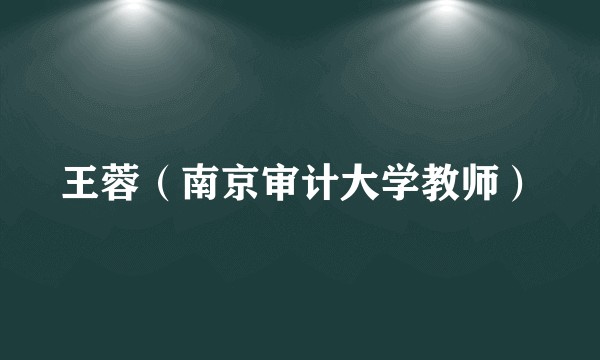 王蓉(南京审计大学教师)