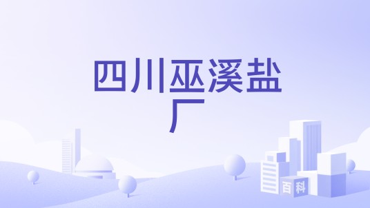 四川巫溪盐厂