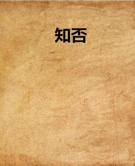 知否（我爱CSI创作的网络小说）