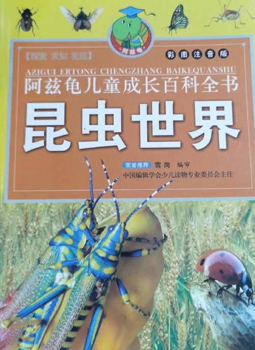 昆虫世界(2008年北方妇女儿童出版社出版的图书)