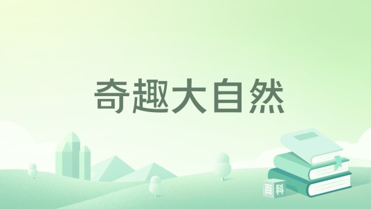 奇趣大自然（2020年吉林美术出版社出版的图书）