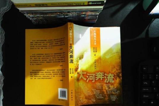 大河奔流（2007年作家出版社出版的长篇报告文学）