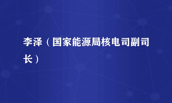 李泽（国家能源局核电司副司长）