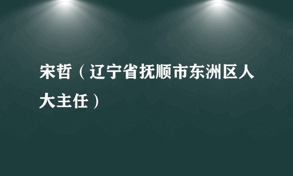 宋哲（辽宁省抚顺市东洲区人大主任）