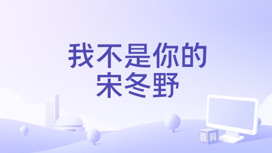 我不是你的宋冬野（刘大壮演唱的民谣风格单曲）