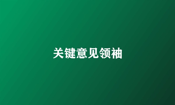 关键意见领袖