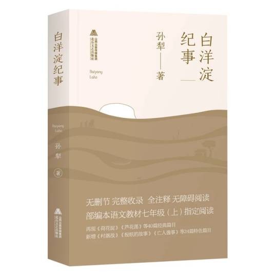 白洋淀纪事（1978年中国青年出版社出版的图书）