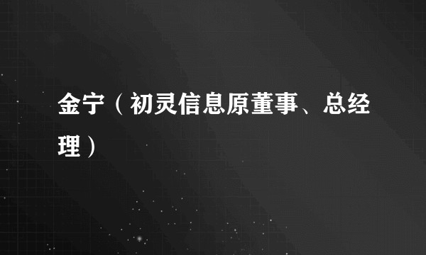 金宁（初灵信息原董事、总经理）