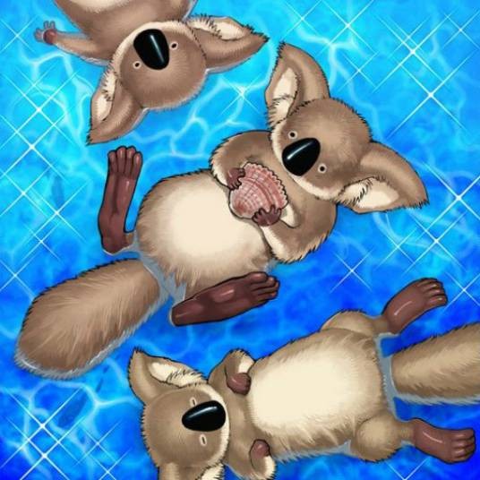 树熊海獭