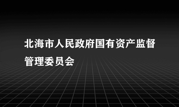 北海市人民政府国有资产监督管理委员会