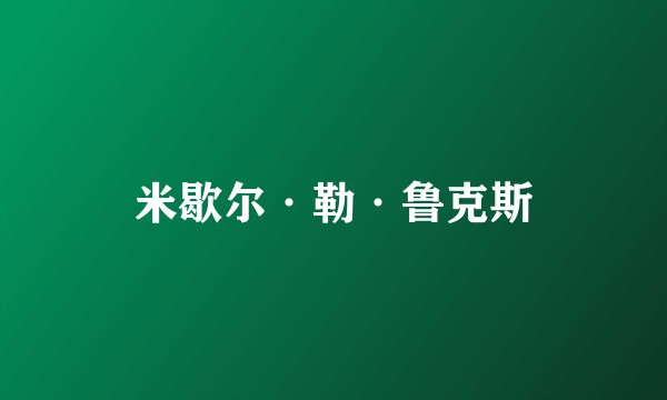 米歇尔·勒·鲁克斯