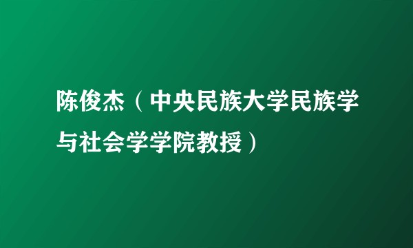 陈俊杰（中央民族大学民族学与社会学学院教授）