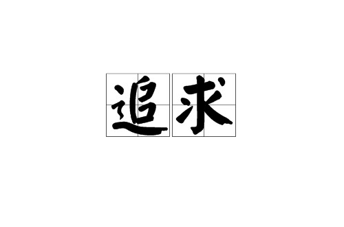 追求（汉语词语）