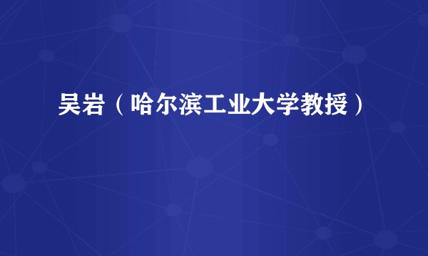 吴岩（哈尔滨工业大学教授）
