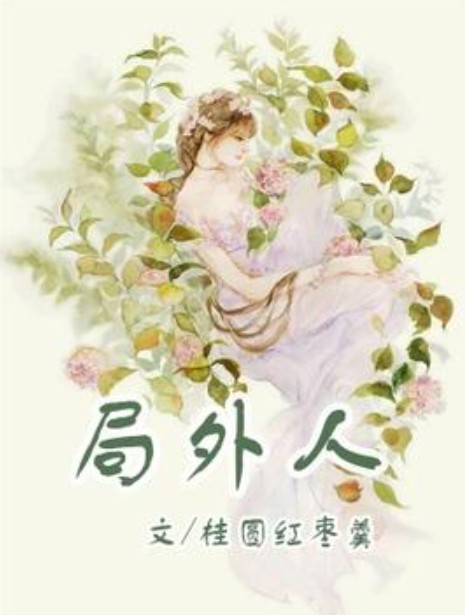 局外人（桂圆红枣茶所著小说）