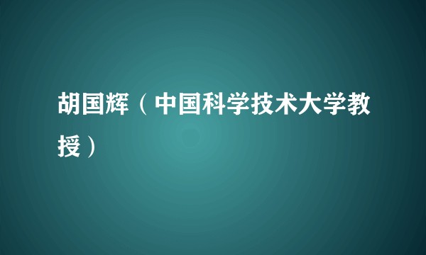 胡国辉（中国科学技术大学教授）