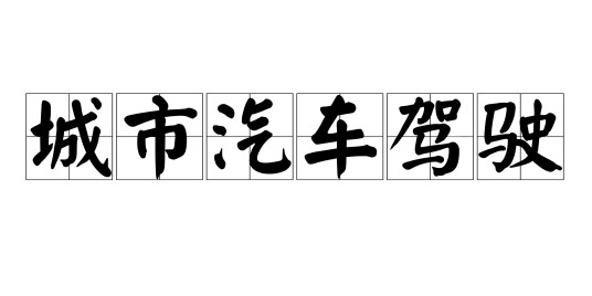 城市汽车驾驶